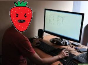 fruti