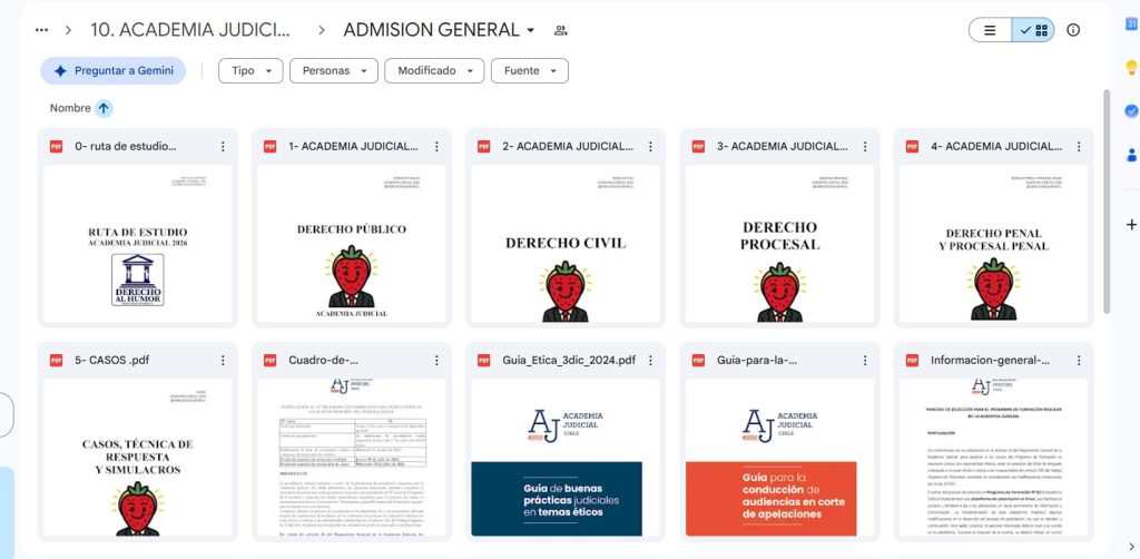 ACADEMIA JUDICIAL